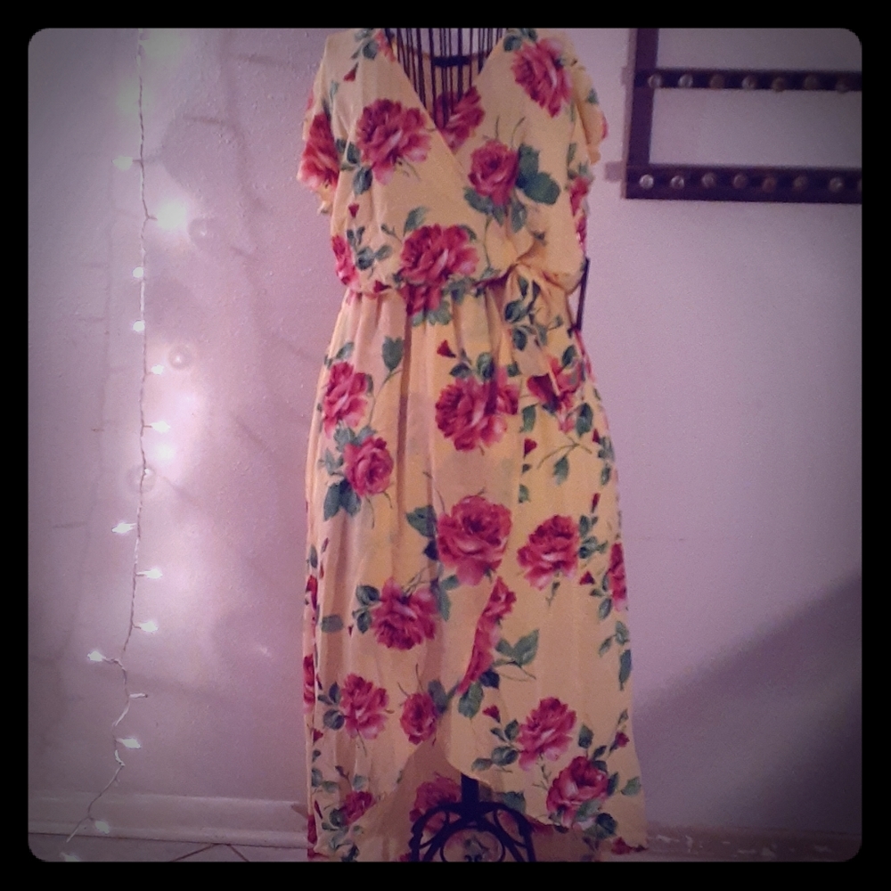 Rose dress